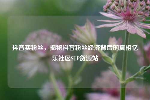 抖音买粉丝，揭秘抖音粉丝经济背后的真相亿乐社区SUP货源站  第1张