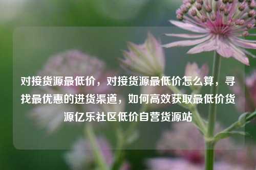 对接货源最低价	，对接货源最低价怎么算，寻找最优惠的进货渠道，如何高效获取最低价货源亿乐社区低价自营货源站  第1张
