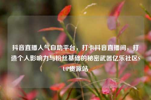 抖音直播人气自助平台，打卡抖音直播间	，打造个人影响力与粉丝基础的秘密武器亿乐社区SUP货源站  第1张