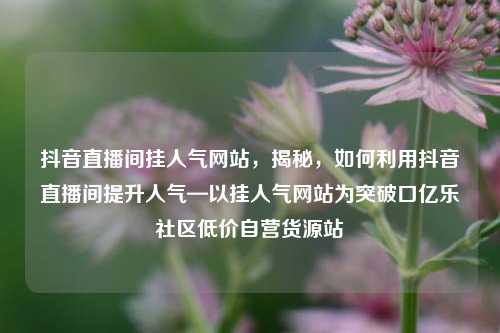 抖音直播间挂人气网站，揭秘，如何利用抖音直播间提升人气—以挂人气网站为突破口亿乐社区低价自营货源站  第1张