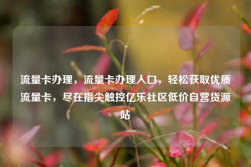 流量卡办理，流量卡办理入口，轻松获取优质流量卡	，尽在指尖触控亿乐社区低价自营货源站  第1张