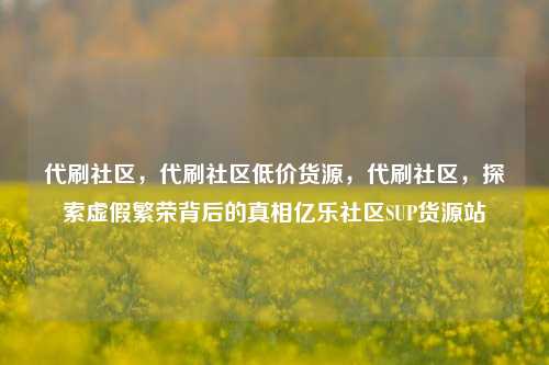 代刷社区，代刷社区低价货源，代刷社区	，探索虚假繁荣背后的真相亿乐社区SUP货源站  第1张