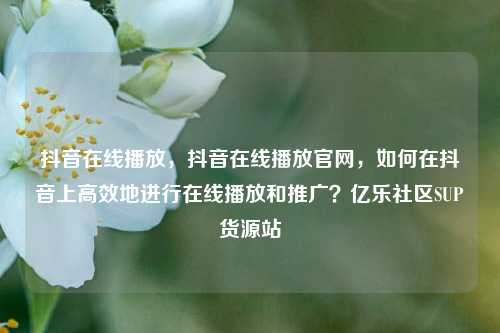 抖音在线播放，抖音在线播放官网，如何在抖音上高效地进行在线播放和推广？亿乐社区SUP货源站  第1张