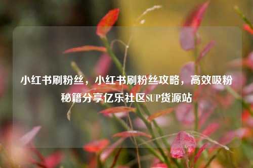 小红书刷粉丝，小红书刷粉丝攻略，高效吸粉秘籍分享亿乐社区SUP货源站  第1张