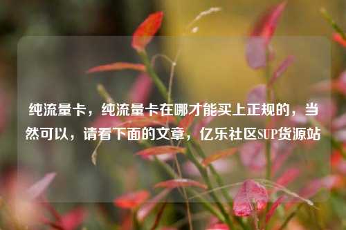 纯流量卡	，纯流量卡在哪才能买上正规的，当然可以，请看下面的文章	，亿乐社区SUP货源站  第1张