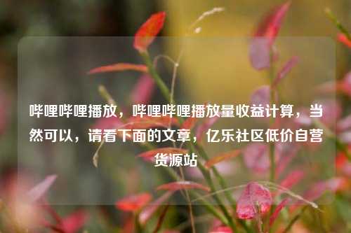 哔哩哔哩播放，哔哩哔哩播放量收益计算，当然可以	，请看下面的文章，亿乐社区低价自营货源站  第1张