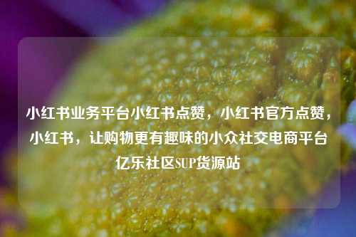 小红书业务平台小红书点赞，小红书官方点赞，小红书	，让购物更有趣味的小众社交电商平台亿乐社区SUP货源站  第1张