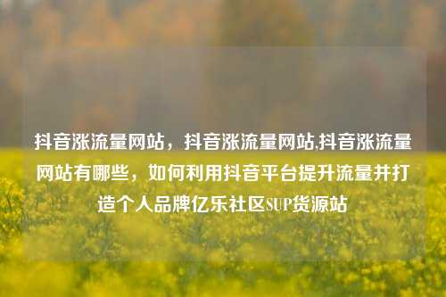 抖音涨流量网站，抖音涨流量网站,抖音涨流量网站有哪些，如何利用抖音平台提升流量并打造个人品牌亿乐社区SUP货源站  第1张