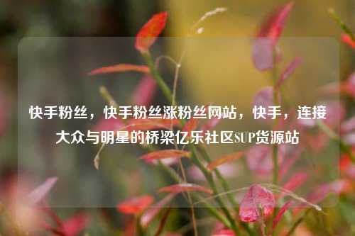 快手粉丝，快手粉丝涨粉丝网站	，快手，连接大众与明星的桥梁亿乐社区SUP货源站  第1张