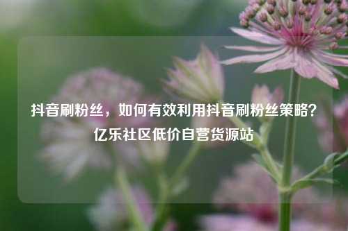 抖音刷粉丝	，如何有效利用抖音刷粉丝策略？亿乐社区低价自营货源站  第1张