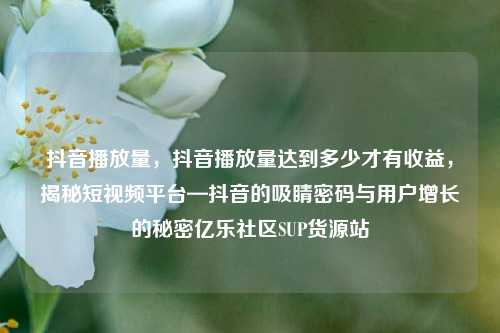 抖音播放量，抖音播放量达到多少才有收益	，揭秘短视频平台—抖音的吸睛密码与用户增长的秘密亿乐社区SUP货源站  第1张