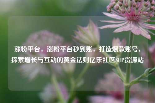 涨粉平台，涨粉平台秒到账，打造爆款账号	，探索增长与互动的黄金法则亿乐社区SUP货源站  第1张