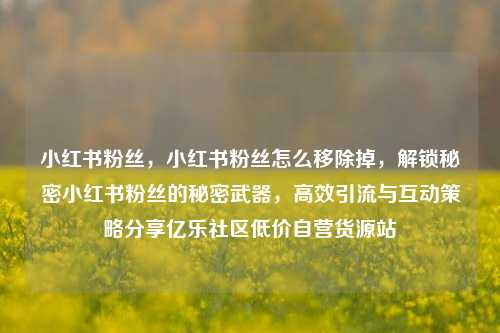 小红书粉丝，小红书粉丝怎么移除掉	，解锁秘密小红书粉丝的秘密武器，高效引流与互动策略分享亿乐社区低价自营货源站  第1张