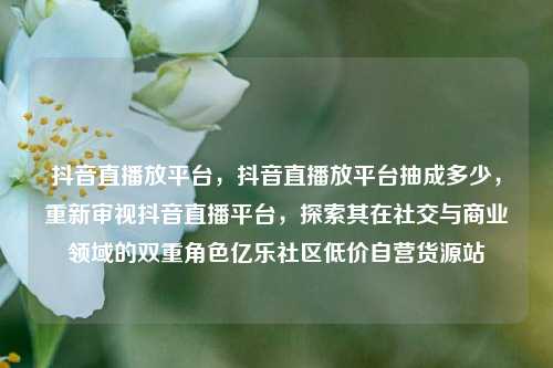 抖音直播放平台	，抖音直播放平台抽成多少，重新审视抖音直播平台，探索其在社交与商业领域的双重角色亿乐社区低价自营货源站  第1张