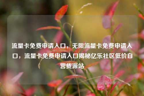 流量卡免费申请入口，无限流量卡免费申请入口，流量卡免费申请入口揭秘亿乐社区低价自营货源站  第1张