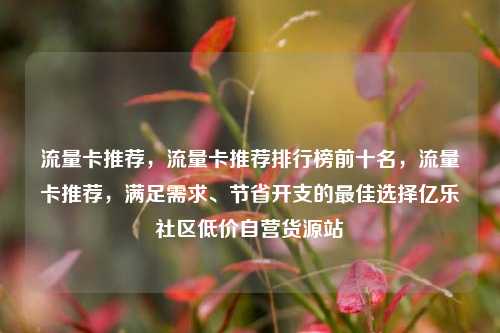流量卡推荐	，流量卡推荐排行榜前十名，流量卡推荐，满足需求、节省开支的最佳选择亿乐社区低价自营货源站  第1张