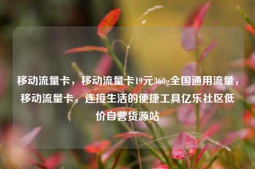 移动流量卡，移动流量卡19元360g全国通用流量	，移动流量卡，连接生活的便捷工具亿乐社区低价自营货源站  第1张