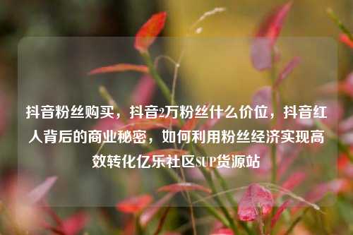 抖音粉丝购买，抖音2万粉丝什么价位，抖音红人背后的商业秘密	，如何利用粉丝经济实现高效转化亿乐社区SUP货源站  第1张