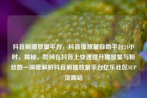 抖音刷播放量平台，抖音播放量自助平台24小时	，揭秘，如何在抖音上快速提升播放量与粉丝数—深度解析抖音刷播放量平台亿乐社区SUP货源站  第1张