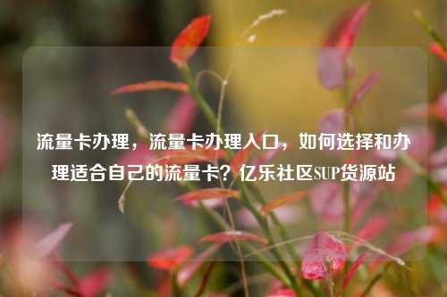 流量卡办理，流量卡办理入口	，如何选择和办理适合自己的流量卡？亿乐社区SUP货源站  第1张