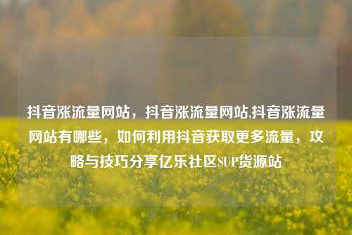 抖音涨流量网站，抖音涨流量网站,抖音涨流量网站有哪些，如何利用抖音获取更多流量	，攻略与技巧分享亿乐社区SUP货源站  第1张