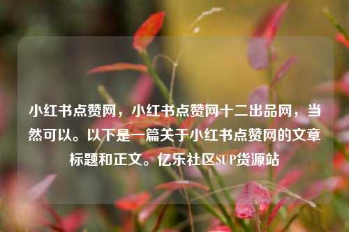 小红书点赞网，小红书点赞网十二出品网，当然可以。以下是一篇关于小红书点赞网的文章标题和正文。亿乐社区SUP货源站  第1张
