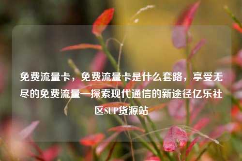 免费流量卡，免费流量卡是什么套路	，享受无尽的免费流量—探索现代通信的新途径亿乐社区SUP货源站  第1张
