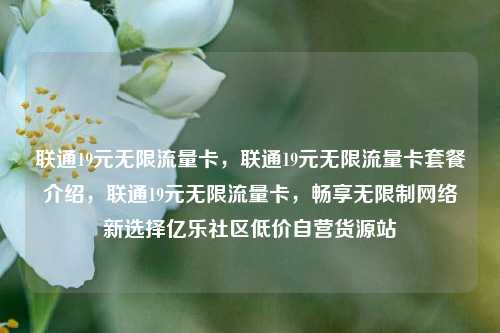联通19元无限流量卡，联通19元无限流量卡套餐介绍，联通19元无限流量卡	，畅享无限制网络新选择亿乐社区低价自营货源站  第1张
