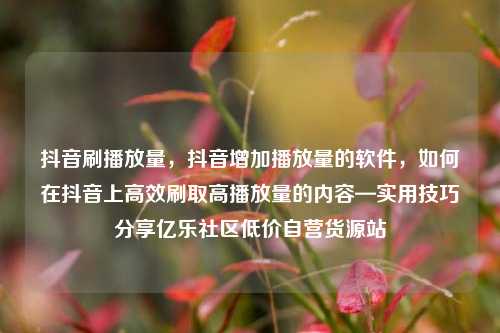 抖音刷播放量，抖音增加播放量的软件，如何在抖音上高效刷取高播放量的内容—实用技巧分享亿乐社区低价自营货源站  第1张