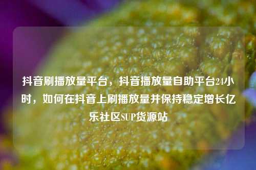 抖音刷播放量平台，抖音播放量自助平台24小时，如何在抖音上刷播放量并保持稳定增长亿乐社区SUP货源站  第1张