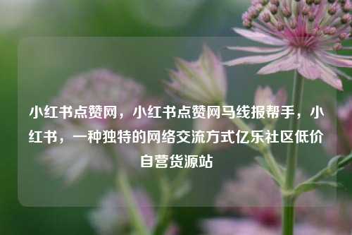 小红书点赞网	，小红书点赞网马线报帮手，小红书，一种独特的网络交流方式亿乐社区低价自营货源站  第1张