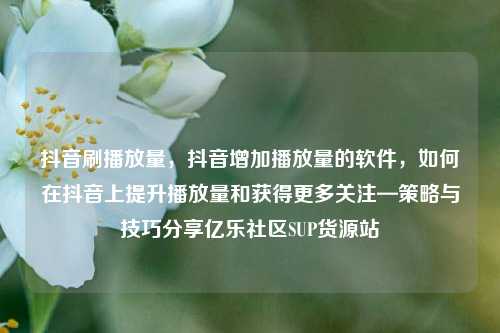 抖音刷播放量，抖音增加播放量的软件	，如何在抖音上提升播放量和获得更多关注—策略与技巧分享亿乐社区SUP货源站  第1张