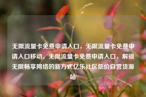 无限流量卡免费申请入口，无限流量卡免费申请入口移动，无限流量卡免费申请入口	，解锁无限畅享网络的新方式亿乐社区低价自营货源站  第1张