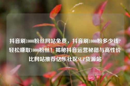 抖音刷1000粉丝网站免费，抖音刷1000粉多少钱?轻松赚取1000粉丝！揭秘抖音运营秘籍与高性价比网站推荐亿乐社区SUP货源站  第1张