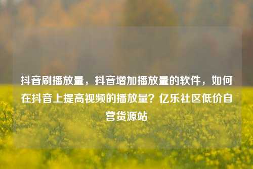 抖音刷播放量	，抖音增加播放量的软件，如何在抖音上提高视频的播放量？亿乐社区低价自营货源站  第1张