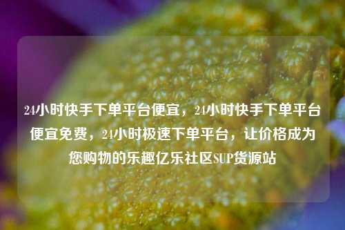 24小时快手下单平台便宜，24小时快手下单平台便宜免费	，24小时极速下单平台，让价格成为您购物的乐趣亿乐社区SUP货源站  第1张