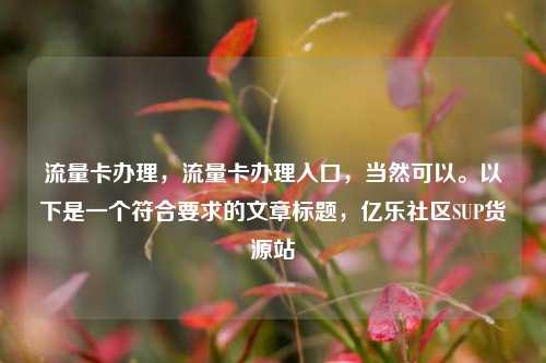 流量卡办理	，流量卡办理入口，当然可以。以下是一个符合要求的文章标题，亿乐社区SUP货源站  第1张