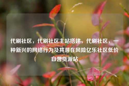 代刷社区，代刷社区主站搭建	，代刷社区，一种新兴的网络行为及其潜在风险亿乐社区低价自营货源站  第1张