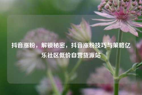 抖音涨粉，解锁秘密，抖音涨粉技巧与策略亿乐社区低价自营货源站  第1张