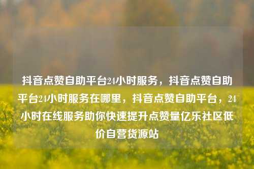 抖音点赞自助平台24小时服务	，抖音点赞自助平台24小时服务在哪里，抖音点赞自助平台，24小时在线服务助你快速提升点赞量亿乐社区低价自营货源站  第1张