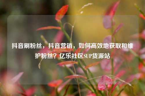 抖音刷粉丝，抖音营销，如何高效地获取和维护粉丝？亿乐社区SUP货源站  第1张