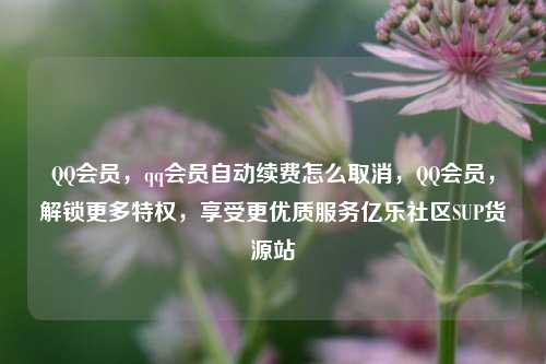 QQ会员，qq会员自动续费怎么取消，QQ会员，解锁更多特权	，享受更优质服务亿乐社区SUP货源站  第1张