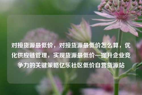 对接货源最低价，对接货源最低价怎么算，优化供应链管理	，实现货源最低价—提升企业竞争力的关键策略亿乐社区低价自营货源站  第1张