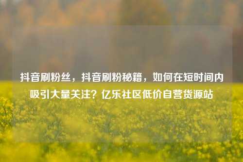 抖音刷粉丝，抖音刷粉秘籍，如何在短时间内吸引大量关注？亿乐社区低价自营货源站  第1张