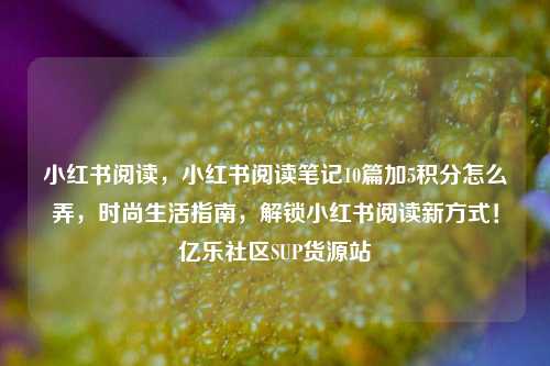 小红书阅读，小红书阅读笔记10篇加5积分怎么弄，时尚生活指南	，解锁小红书阅读新方式！亿乐社区SUP货源站  第1张