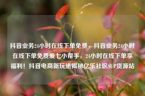 抖音业务24小时在线下单免费，抖音业务24小时在线下单免费爱七小帮手，24小时在线下单享福利！抖音电商新玩法揭秘亿乐社区SUP货源站  第1张