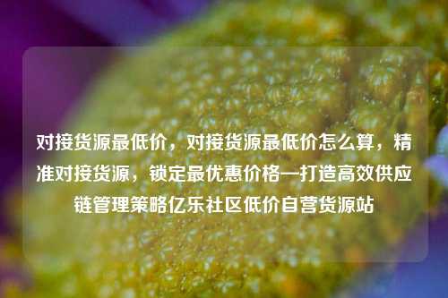 对接货源最低价，对接货源最低价怎么算，精准对接货源	，锁定最优惠价格—打造高效供应链管理策略亿乐社区低价自营货源站  第1张