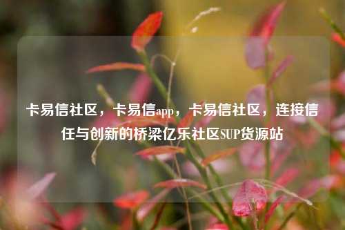卡易信社区，卡易信app	，卡易信社区，连接信任与创新的桥梁亿乐社区SUP货源站  第1张