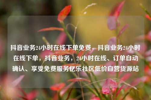 抖音业务24小时在线下单免费，抖音业务24小时在线下单	，抖音业务，24小时在线	、订单自动确认、享受免费服务亿乐社区低价自营货源站  第1张