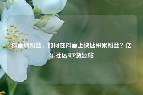 抖音刷粉丝，如何在抖音上快速积累粉丝？亿乐社区SUP货源站  第1张